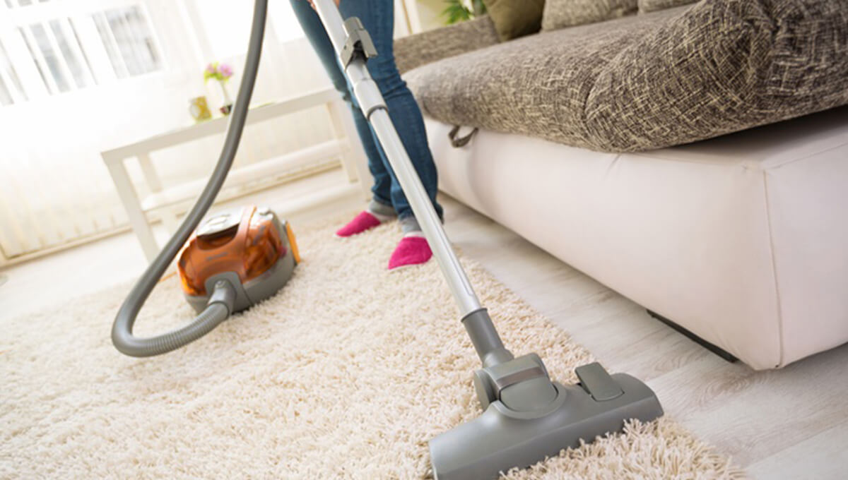 professional cleaning services in Auckland, New Zealand
